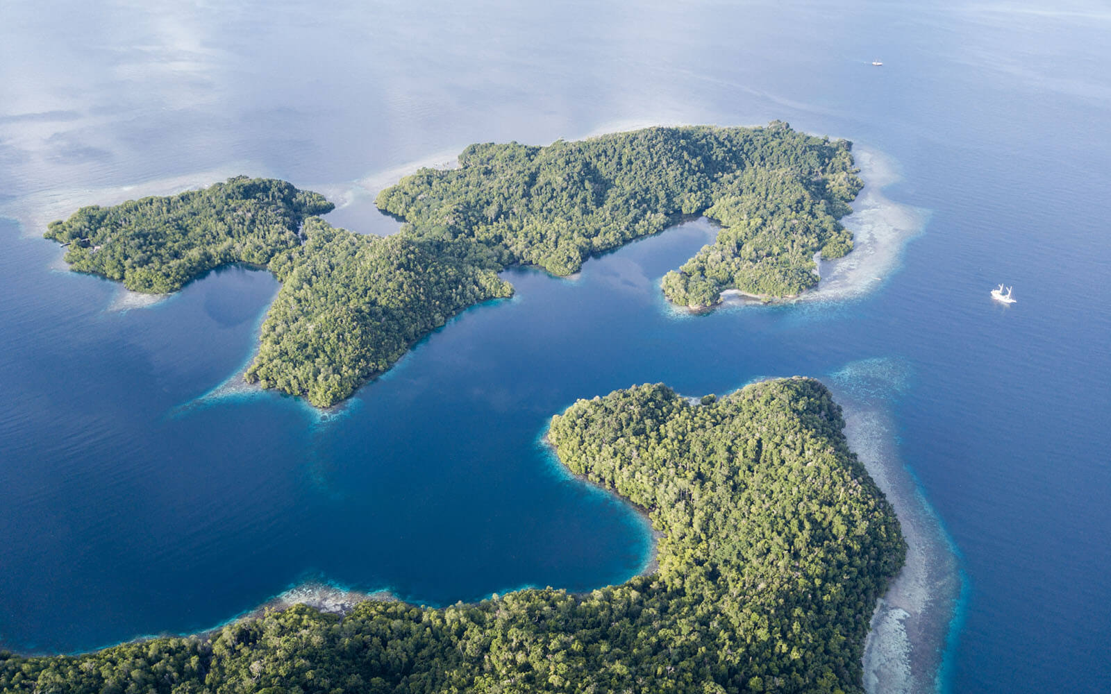 Aerial of islands located in Bird's head seascape